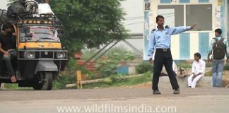 Pvt security guards to man Delhi-Gurugram eway to curb accidents