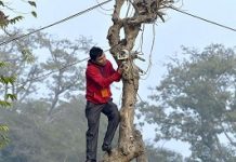 Expect 1.4 lakh more CCTVs across capital