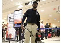 TSA continuing screening at small airports, may launch dog-sniffing lines