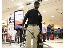 TSA continuing screening at small airports, may launch dog-sniffing lines
