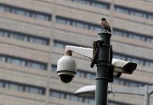 Security cameras, scanners at Pak capital’s entry removed