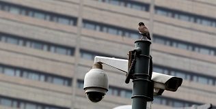 Security cameras, scanners at Pak capital’s entry removed