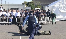 Tokyo Olympics organizers conduct security tests with police