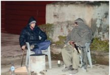 Islamabad to launch crackdown against untrained private security guards