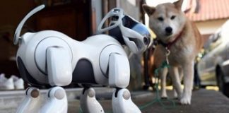 Robotic dogs to replace sniffer dogs at Indian airports