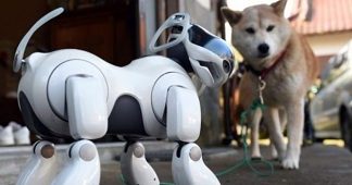 Robotic dogs to replace sniffer dogs at Indian airports