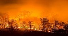 Forest fires tripled in last four months: Forest Survey of India