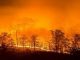 Forest fires tripled in last four months: Forest Survey of India