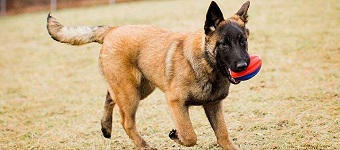 madhyaste-newsapril192019