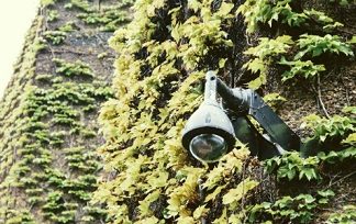 London surveillance camera count: 1 for every 14 people: Report