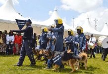 Major reforms loom for Kenya private security firms