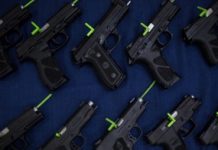 MPs oppose amendment that limits gun licences to just one, cite security & royal past