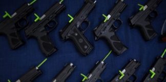 MPs oppose amendment that limits gun licences to just one, cite security & royal past
