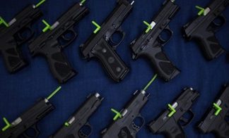 MPs oppose amendment that limits gun licences to just one, cite security & royal past