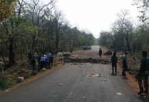 Maharashtra mulling Chhattisgarh-like special security act to tackle Naxalism