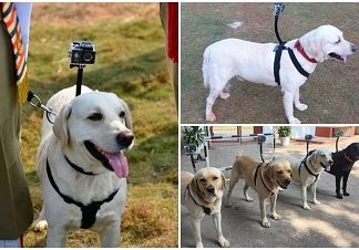 Sniffer dogs equipped with cameras at the Visakhapatnam station