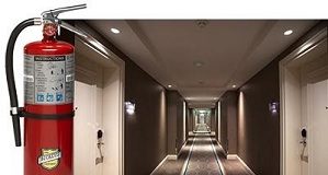 Fire inspection of Delhi guesthouses and hotels to begin again