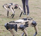 Tyndall Air Base installing four-legged robots for security, a first for Department of Defense