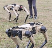 Tyndall Air Base installing four-legged robots for security, a first for Department of Defense