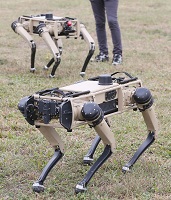 thyndstenewsnov202020