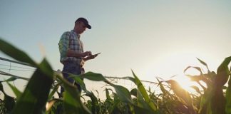 UK farmers get their own security advice as cyberattacks increase