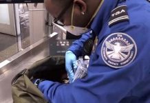 TSA seeks to hire thousands of airport security screening officers ahead of travel uptick