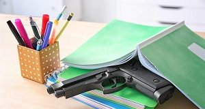 Idaho bill would allow staff to carry guns in schools