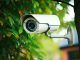 AI based CCTV demanded for Siliguru wildlife areas