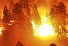 AI camera network expands wildfire detection across California