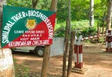 AI camera surveillance to safeguard Similipal Forest against fire and poachers