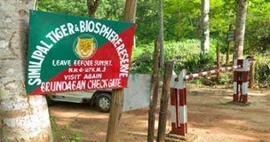 AI camera surveillance to safeguard Similipal Forest against fire and poachers