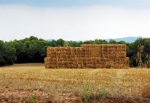 Annual cost of farm fires approaches £100m as arson costs almost double