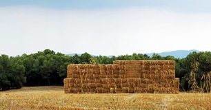 Annual cost of farm fires approaches £100m as arson costs almost double