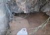 A tunnel under Hindon Air Base wall? 4-foot pit sparks security alarm