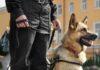 Auburn city schools adds K9 security to reduce school shooting risks