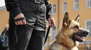 Auburn city schools adds K9 security to reduce school shooting risks