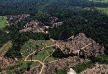 Brazil sees Amazon rainforest international security hub launch this year