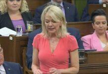 Canada MPs to get panic buttons amid safety fears