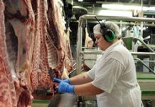 CCTV to become mandatory in Wales’ slaughterhouses