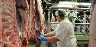 CCTV to become mandatory in Wales’ slaughterhouses