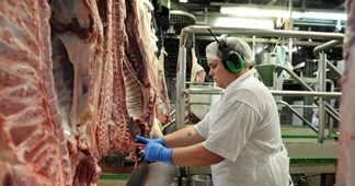 CCTV to become mandatory in Wales’ slaughterhouses
