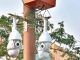CCTV surveillance in Kanpur to get a boost with Operation ‘Trinetra’