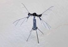 China’s military introduces mosquito-sized drones