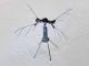 China’s military introduces mosquito-sized drones