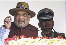 CISF should develop hybrid security model to train, certify Private Security Agencies: Amit Shah
