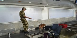 CISF set to take over Noida airport security this month