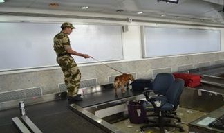 CISF set to take over Noida airport security this month