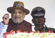 CISF should develop hybrid security model to train, certify pvt security agencies: Amit Shah