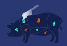 Cyber fraud called ‘pig butchering scam’ targeting unemployed youths: Centre