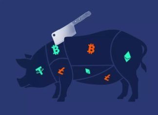 Cyber fraud called ‘pig butchering scam’ targeting unemployed youths: Centre